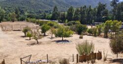 Parcela Casa 105 Mts,. 1. Ha. Terreno Pangue. Curacavi
