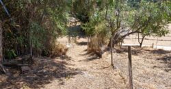 Parcela Casa 105 Mts,. 1. Ha. Terreno Pangue. Curacavi