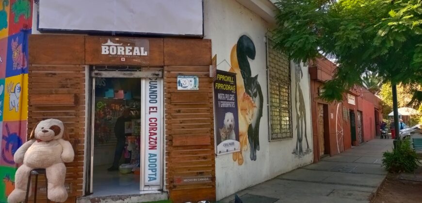 Gran Casona Comercial, Av. Los Leones, Providencia