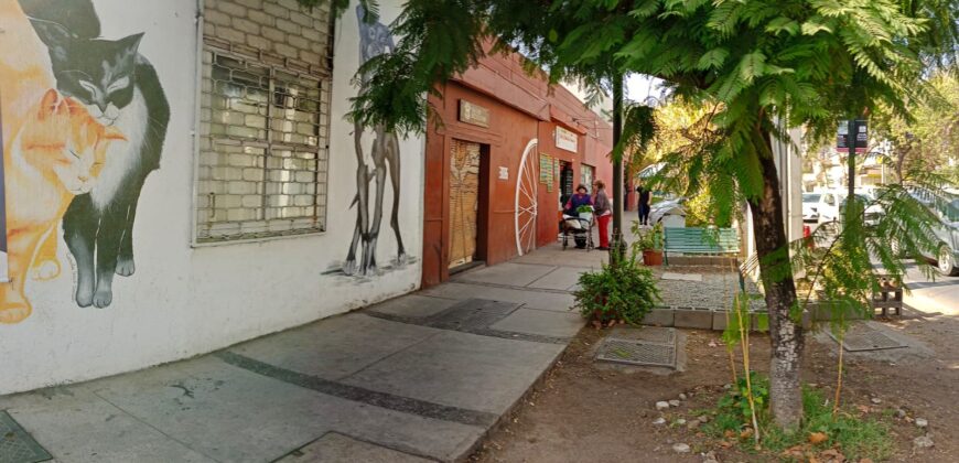 Gran Casona Comercial, Av. Los Leones, Providencia