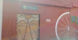 Gran Casona Comercial, Av. Los Leones, Providencia