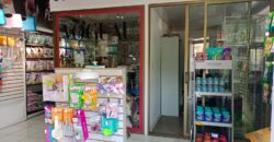 Gran Casona Comercial, Av. Los Leones, Providencia