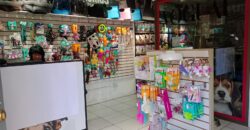 Gran Casona Comercial, Av. Los Leones, Providencia