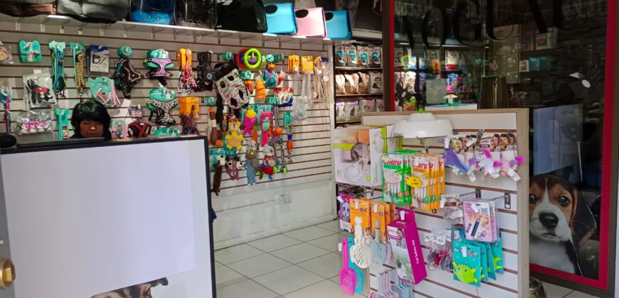 Gran Casona Comercial, Av. Los Leones, Providencia