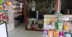 Gran Casona Comercial, Av. Los Leones, Providencia