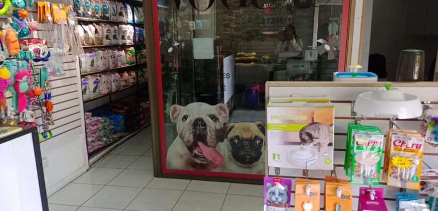 Gran Casona Comercial, Av. Los Leones, Providencia