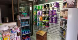 Gran Casona Comercial, Av. Los Leones, Providencia