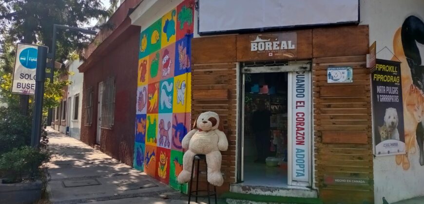 Gran Casona Comercial, Av. Los Leones, Providencia