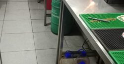 Oportunidad Vendo Derecho Llave Restaurant Metro Tobalaba