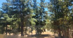 Hermosa Parcela Con Casa En Camino Antiguo Algarrobo.