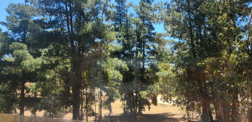 Hermosa Parcela Con Casa En Camino Antiguo Algarrobo.