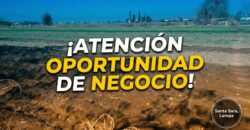Oportunidad! Gran Terreno 7 Ha. Lampa Al Lado Ruta 5.