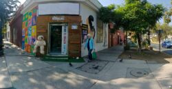 Gran Casona Comercial, Av. Los Leones, Providencia