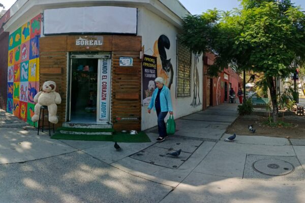 Gran Casona Comercial, Av. Los Leones, Providencia