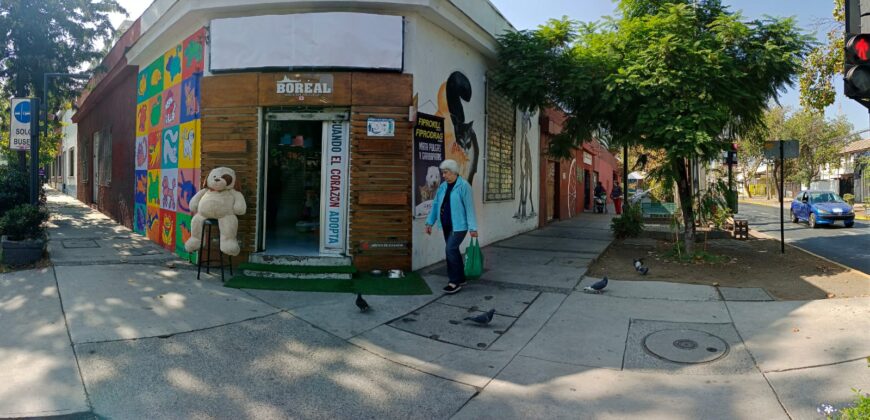 Gran Casona Comercial, Av. Los Leones, Providencia