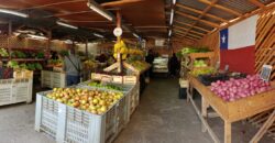 Gran Casona Comercial, Av. Los Leones, Providencia
